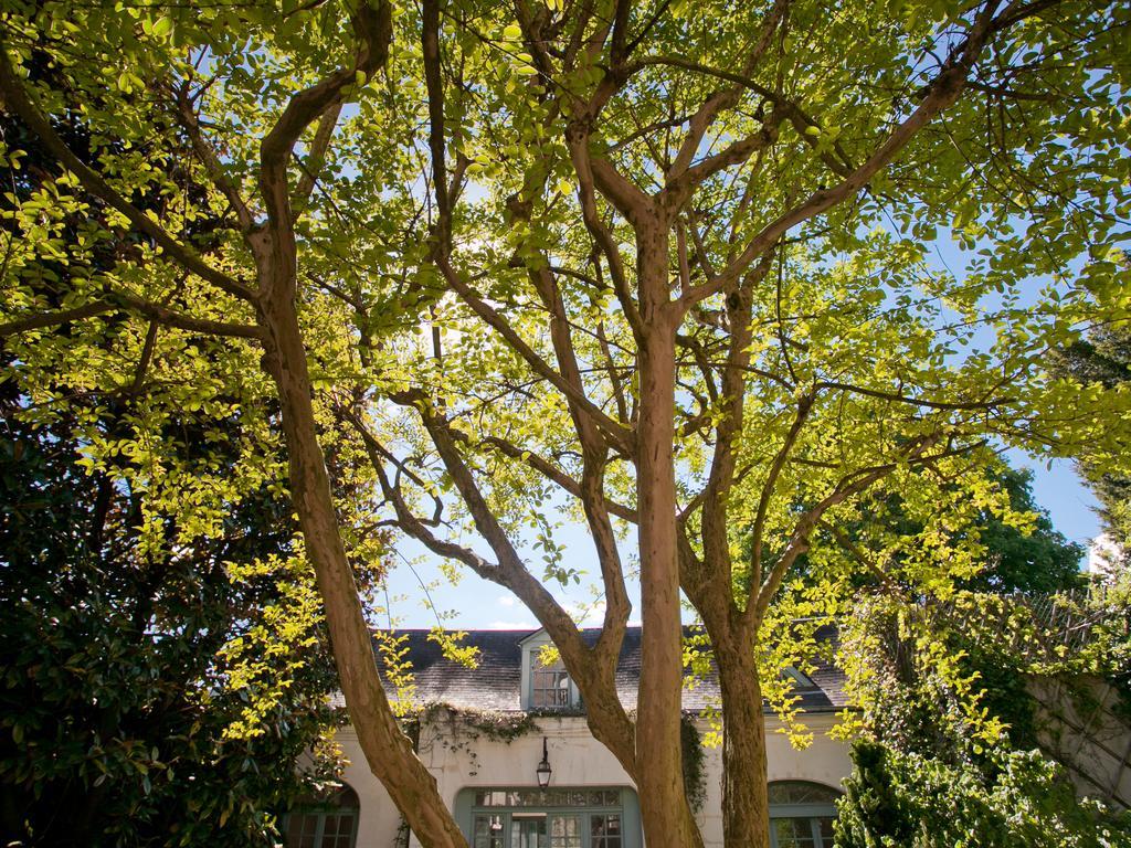 La Maison Jules ตูร์ ภายนอก รูปภาพ